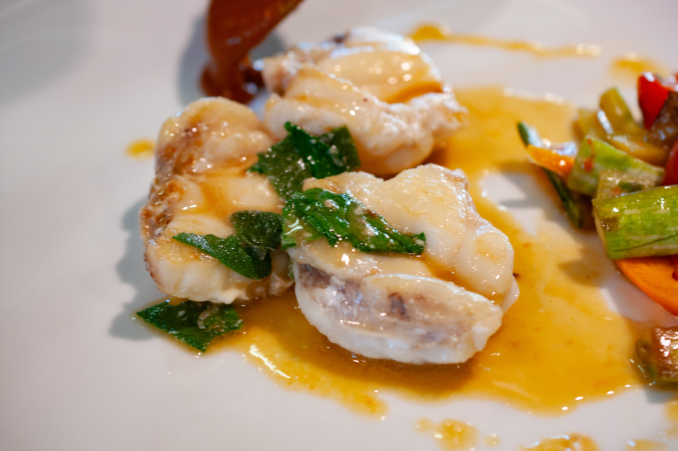 Pesce del giorno